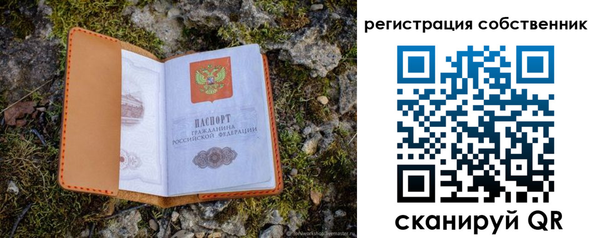 прописка поиск в Смоленской области